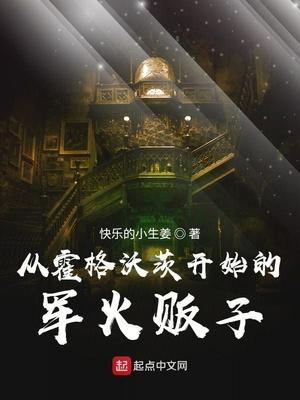 从霍格沃茨开始的军火贩子九桃