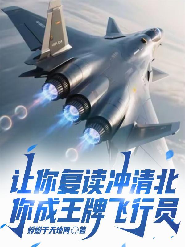 你成王牌飞行员全集